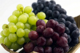 한글 2005 처음사용자용