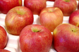 코원 MP3플레이어 iAUDIO U3 (512MB)