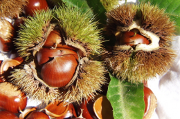 아이리버 MP3플레이어 U10(2G) + 크래들 + 충전기