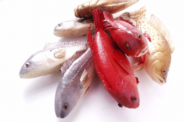 FUJIFILM 디지털카메라 FinePix V10(3.0